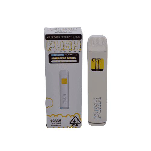 Push Disposable Vape Pen 1Gram THC Pod Device