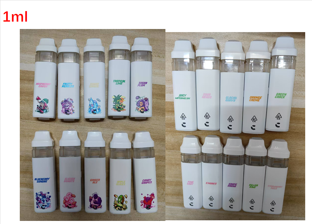 choices lab dual (2)